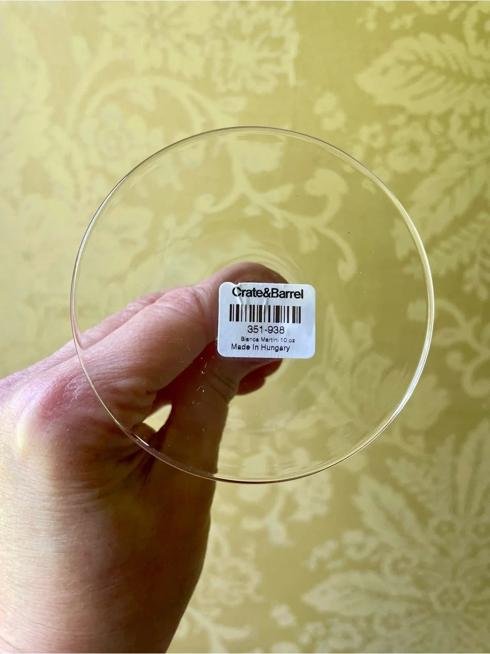 NWT Crate&Barrel Bianca Etched Martini Glasses - Set of 4